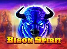 Bison Spirit